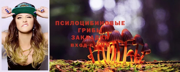 амф Алзамай