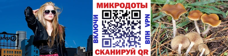 Псилоцибиновые грибы Cubensis Куйбышев